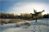 DSC_7973-копия.jpg