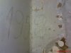 DSC01307.jpg