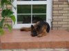 DSC05185.jpg
