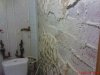 DSC01208.jpg