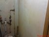 DSC01224.jpg