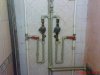 DSC01237.jpg