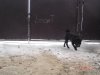 DSC00415.jpg