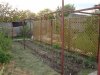 DSC04082.jpg