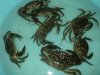 DSC00834.jpg