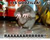 iisgodzilla.jpg