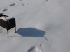 IMG_4559.jpg