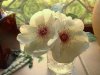 2010-06-07 097.JPG