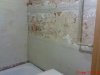 DSC01356.jpg