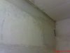 DSC01355.jpg