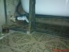 DSC01394.jpg