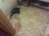 DSC01396.jpg