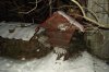 DSCF4652.jpg