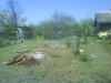 DSC00853.jpg