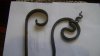 DSC01573.jpg