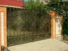 DSC01253.JPG