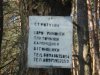 user29990_pic3554_1328901959.jpg