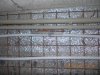 DSCN0617.jpg