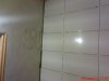 DSC01419.jpg