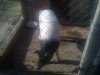 13112010412_thumb.jpg