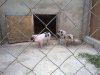 08052011751_thumb.jpg