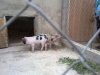 08052011752_thumb.jpg