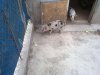 08052011753_thumb.jpg