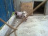 08052011754_thumb.jpg