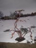 DSCN6676.jpg