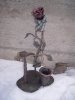DSCN6703.jpg