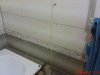 DSC01426.jpg