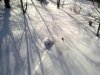 260220121058.jpg