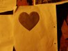 DSC03698.jpg