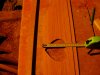 DSC03704.jpg