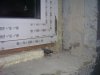 100_3087.jpg