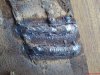 DSC01387.jpg