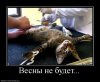 788809_vesnyi-ne-budet.jpg