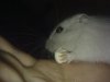 24022009026.jpg