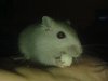 24022009030.jpg