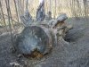 Копия SV203872.JPG