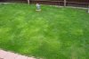 DSC02780.jpg