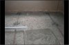 2012-05-03_094349.jpg