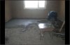 2012-05-03_094353.jpg