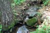 IMG_1157к.jpg