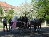 DSCF5025.JPG