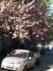 DSCF5107.JPG