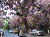 DSCF5118.JPG