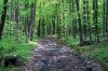 IMG_1160к.jpg