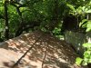 DSCF5164.jpg