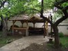 DSCF5170_новый размер.JPG